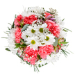 A jubilant mix of classic white daisies and plush coral carnations, this bouquet from Harefield radiates both freshness and delight, much like a Harefield sunrise over quiet fields. At the heart, white daisy petals encircle glowing lime-green centres, their purity accentuated by the surrounding ruffles of soft coral. Sporadic bursts of delicate white gypsophila weave an airy charm through the bouquet, while slender alstroemeria buds-tinged with blush and hints of purple-peek out from beneath, teasing a promise of more to come. Eucalyptus leaves in silvery hues and rich green sprigs surround the flowers, grounding the arrangement in natural tranquillity reminiscent of walks along Moorhall Road. The balanced, circular design feels intentionally harmonious, with textures and tones that soothe as much as they uplift. Whether chosen to thank a kind neighbour, brighten a loved one's kitchen table, or send gentle encouragement to a patient in Harefield, the bouquet sparkles with optimism and quiet celebration. Every stem, thoughtfully selected and intertwined, is a tribute to the artistry and local pride of Harefield's flower experts, offering a meaningful floral moment that brings a sense of renewal and heartfelt connection to any space.